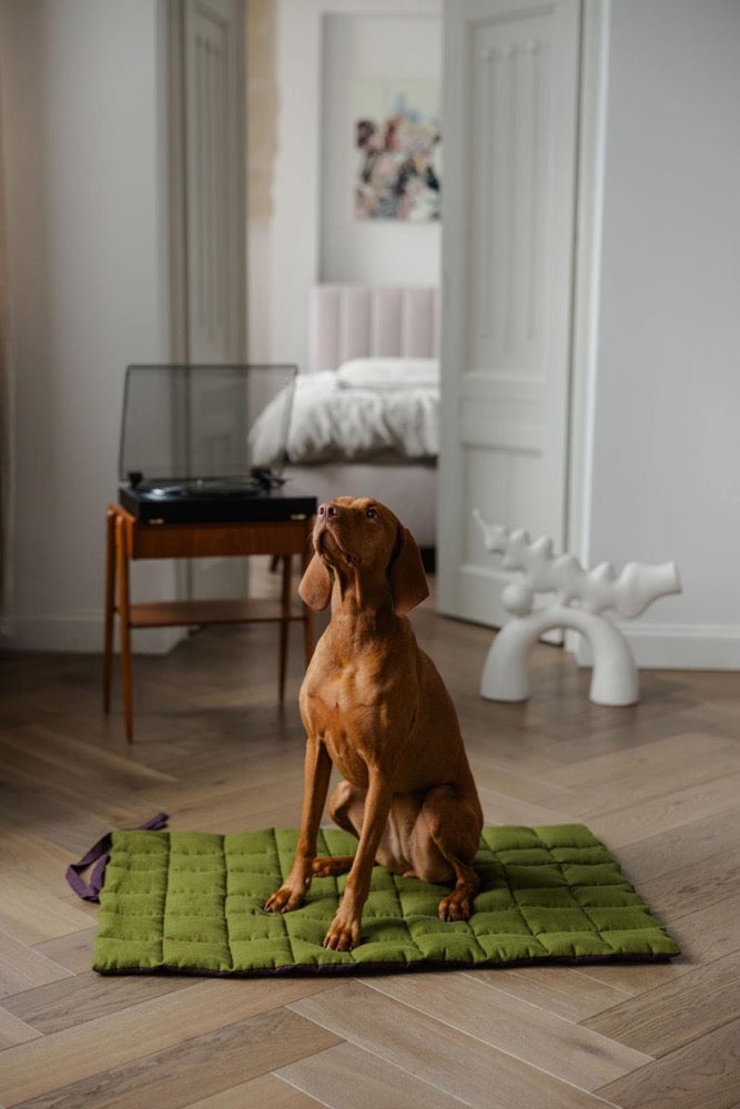 Portable Dog Travel Mat - Washable Two-sided Linen Pet Bed