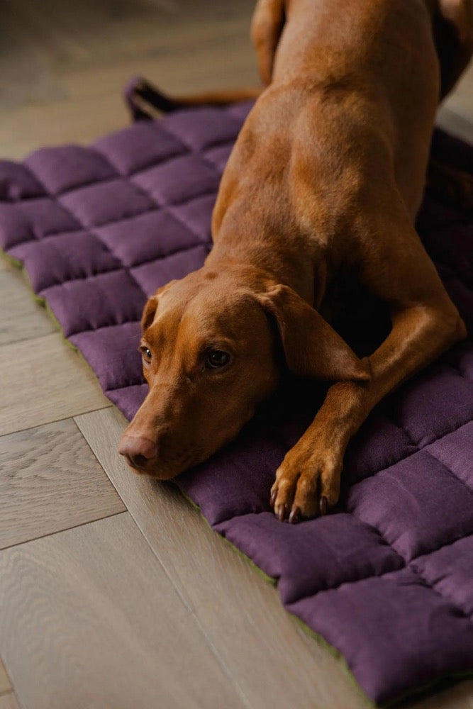 Portable Dog Travel Mat - Washable Two-sided Linen Pet Bed