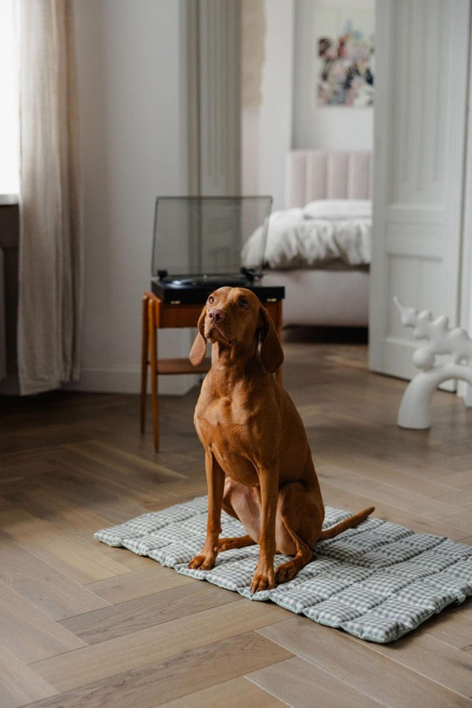 Portable Dog Travel Mat - Washable Two-sided Linen Pet Bed